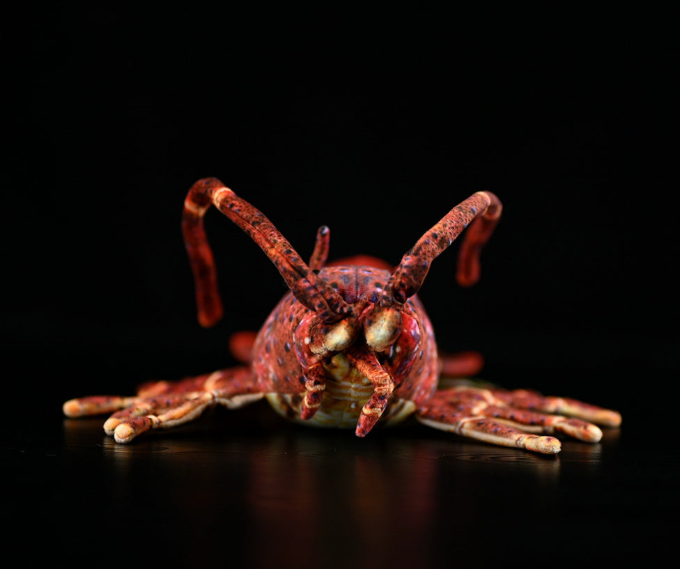 Cute Lobster Doll Plush Toy | Magic Stories
