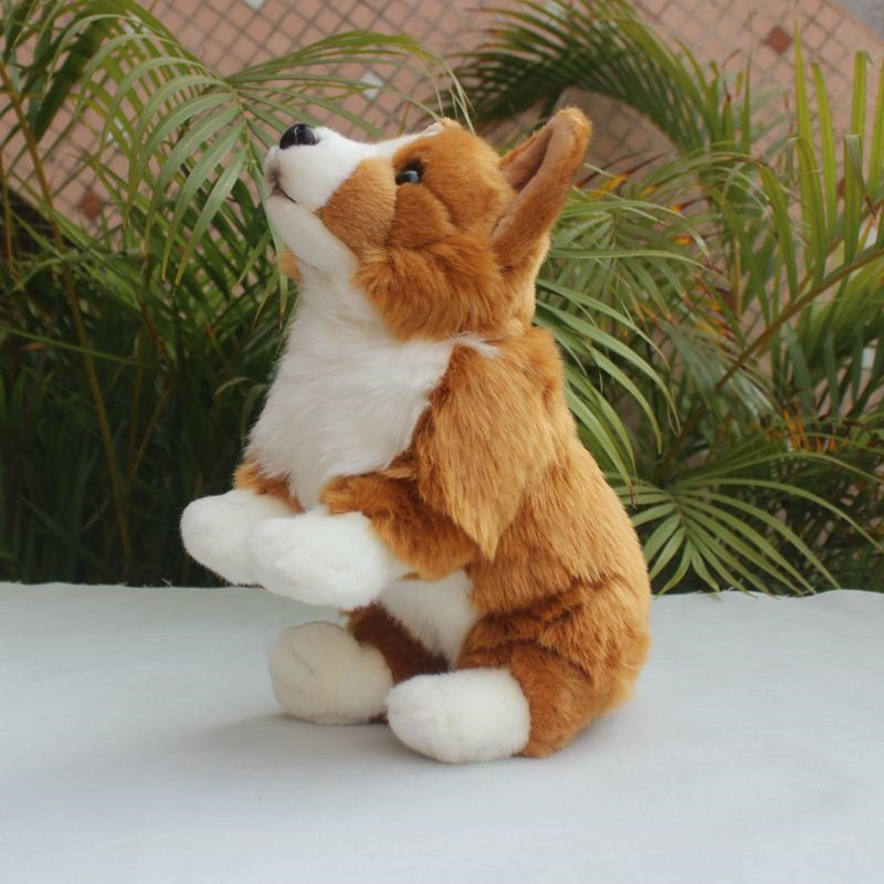 Simulated Corgi Dog Puppy Doll Plush Toy | Magic Stories