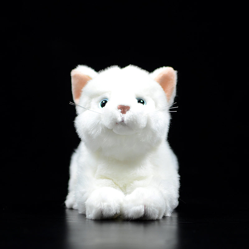 Cute Pure White Cat Plush Toy Cute | Magic Stories