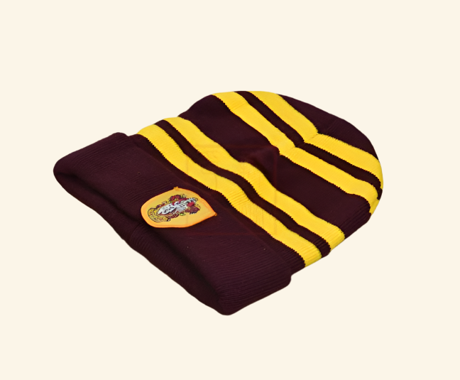 Wizard School House 3-Piece Cosplay Set — Robe + V-Neck Knit Sweater + Embroidered Badge Hat — side view