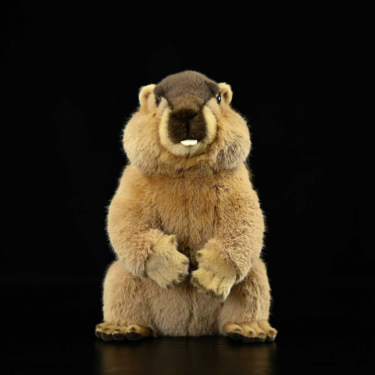 Squirrel Small Animal Plush Home Decoration | Magic Stories