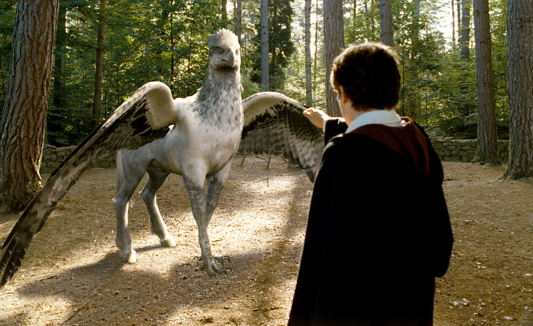 The Magical Creatures of Harry Potter: From Hippogriffs to Nifflers