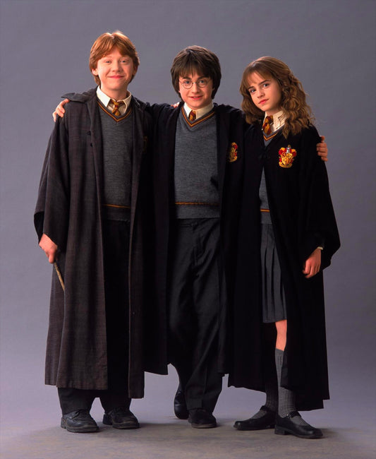 "Harry Potter and the Power of Friendship: Lessons in Loyalty and Companionship"