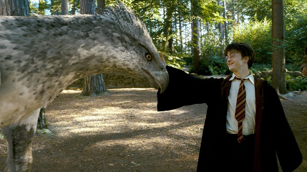 Unveiling the Magical Creatures of Harry Potter: A Guide to the Wizarding World's Fantastic Beasts