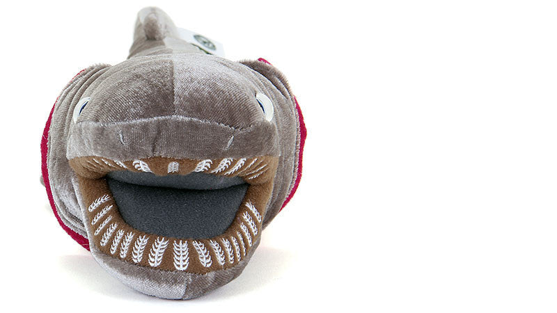 Cute Frilled Shark Doll Animal Plush Toy — detail