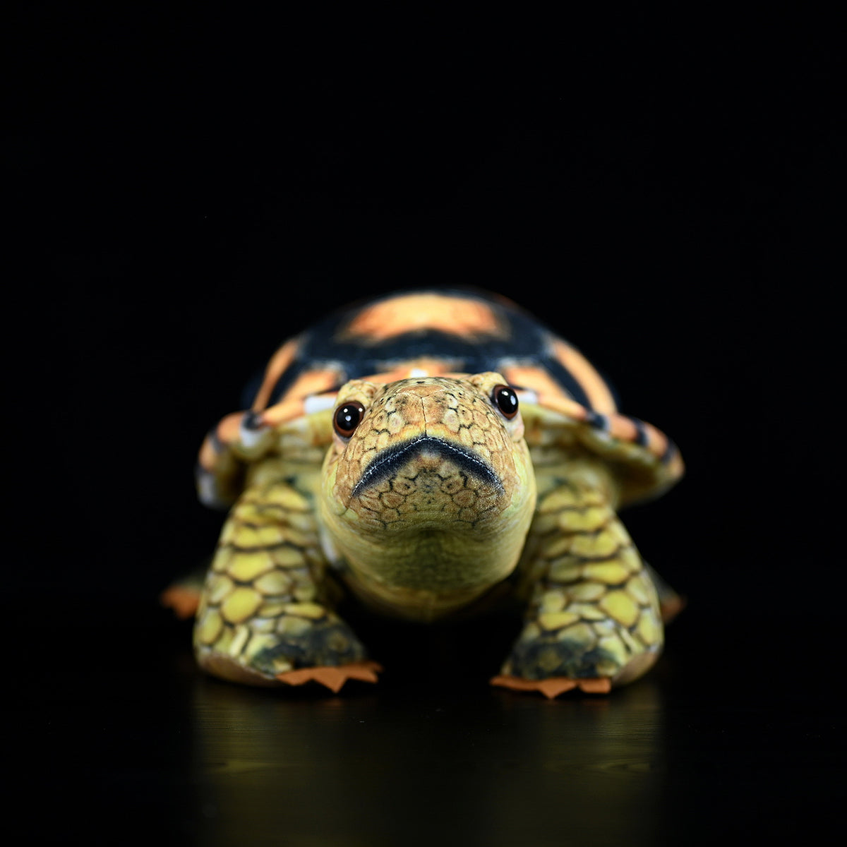 Simulated Land Turtle Doll Cute Turtle Doll | Magic Stories