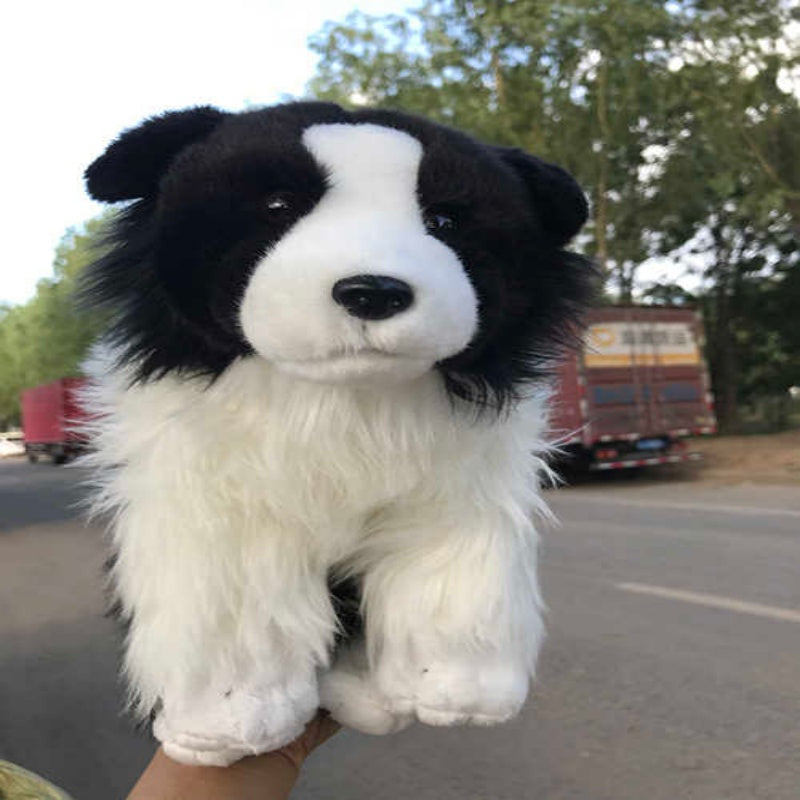 Border Collie Plush Toy | Magic Stories