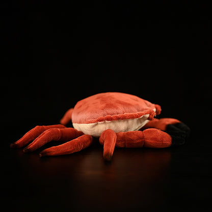 Brown Crab Doll Plush Toys | Magic Stories