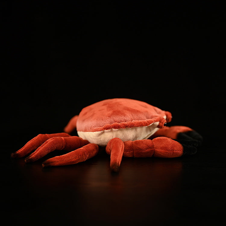 Brown Crab Doll Plush Toys | Magic Stories