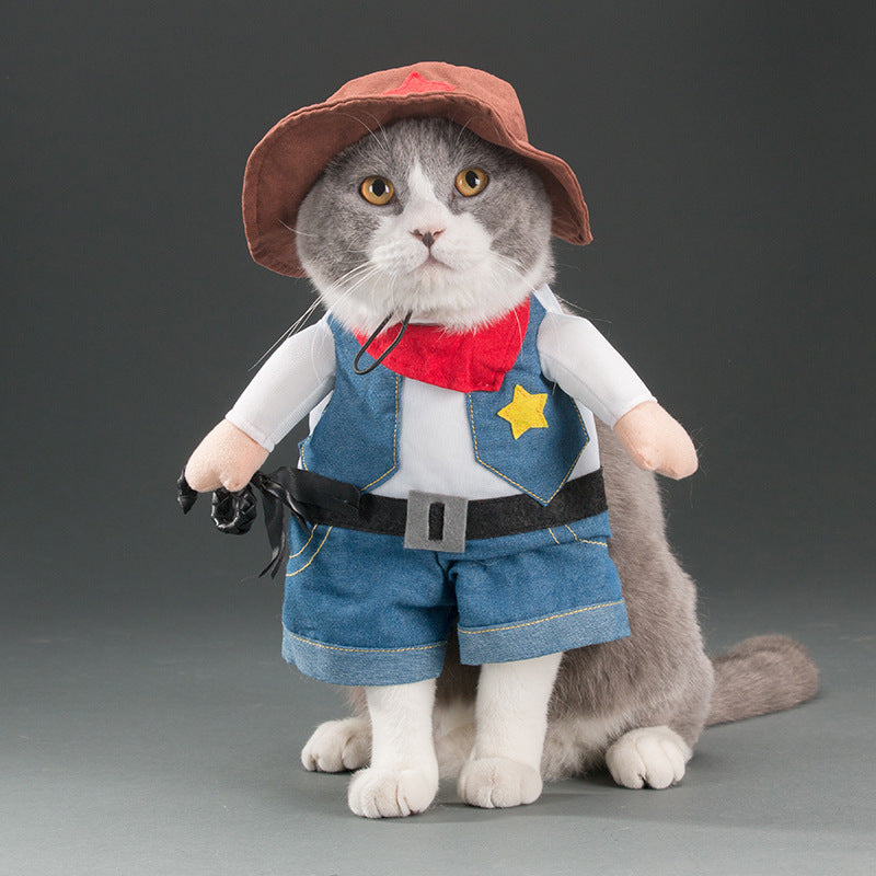 Spring and autumn pet cat costume | Magic Stories