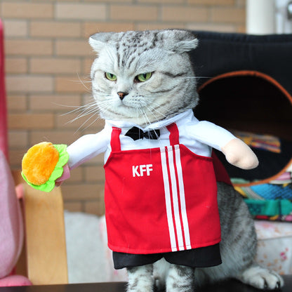Spring and autumn pet cat costume | Magic Stories