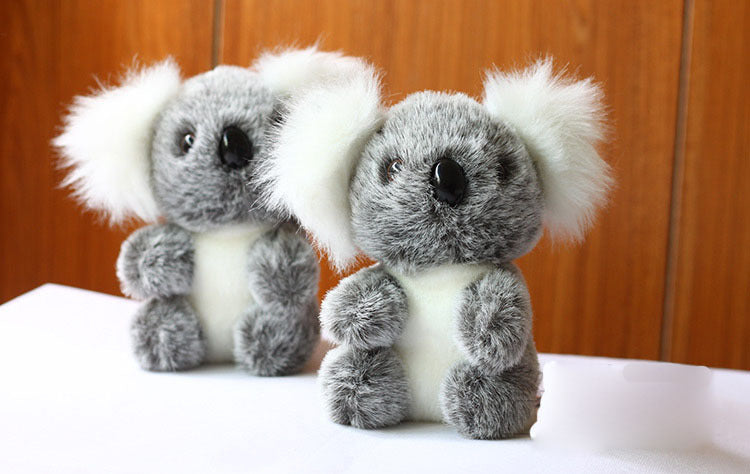 Koala Plush Toy | Magic Stories