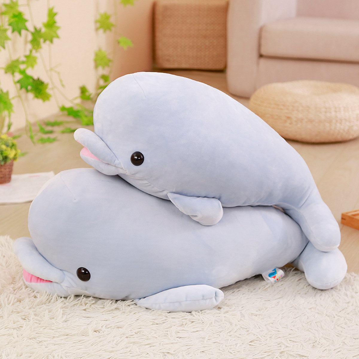 Cute dolphin plush toy little dolphin | Magic Stories