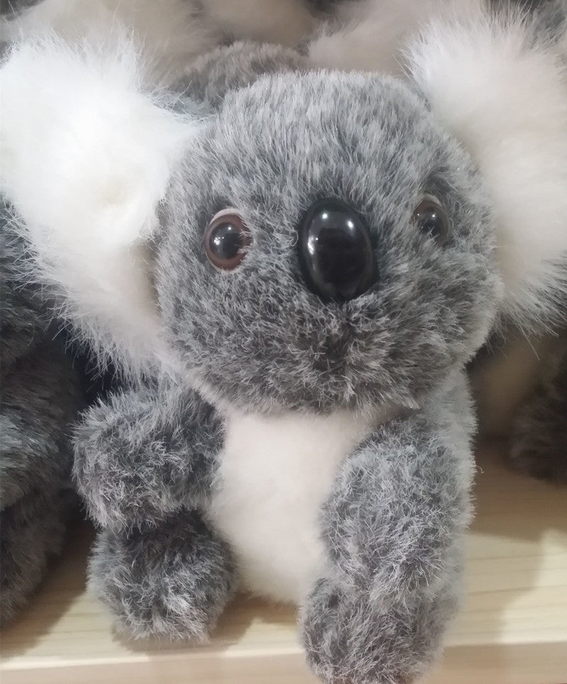 Koala Plush Toy | Magic Stories