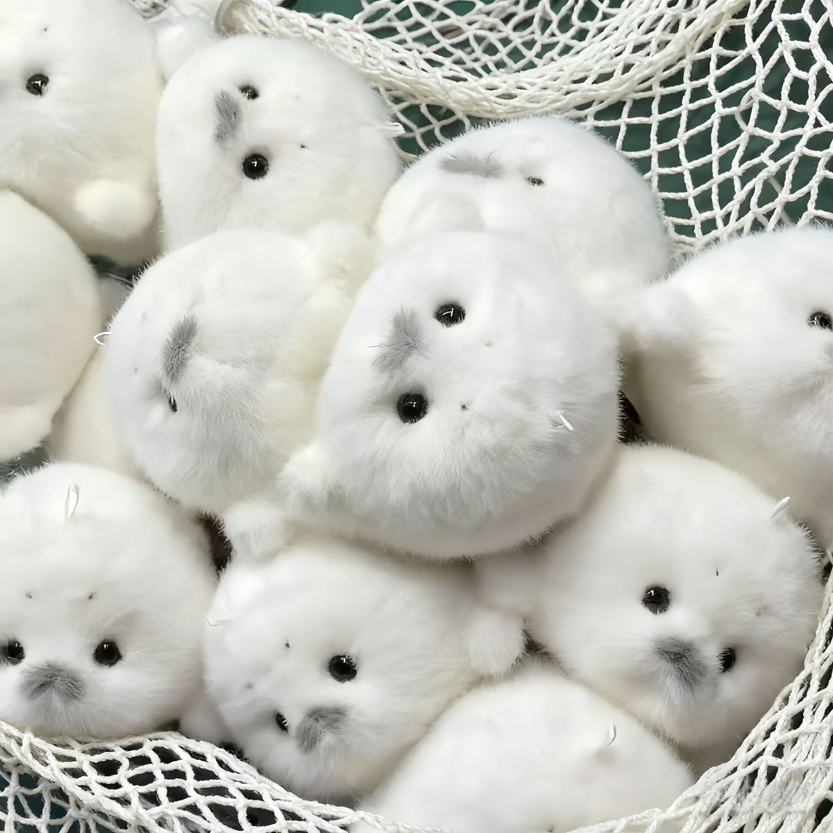 Cute Plush Seal Baby Seal Doll Keychain — packaging
