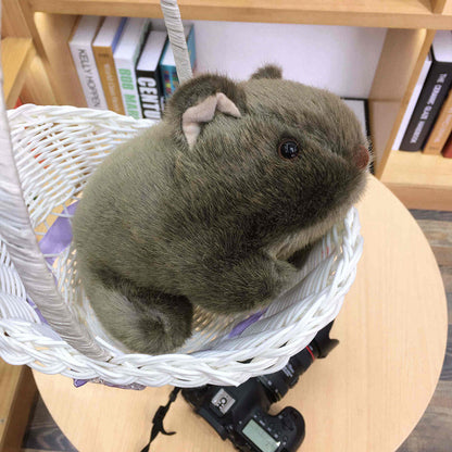 Simulation Guinea Pig Doll Small Plush Toy | Magic Stories