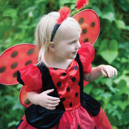Seven Star Ladybug Wings Girl Children's Two-Piece Performance Costume Red Black Gold Powder Back Wing — back view