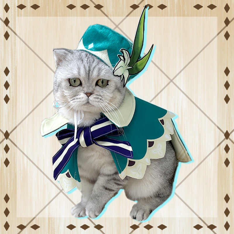 Venti Cosplay Costume - Genshin Impact — packaging