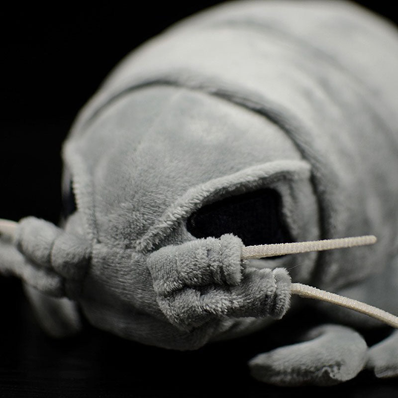Sea Creature Giant Isopod Realistic Stuffed | Magic Stories