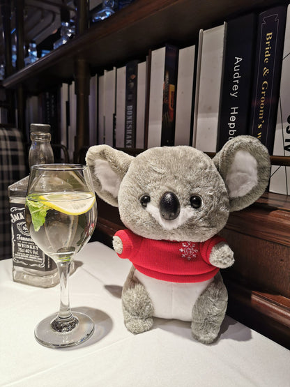 Koala Plush Doll Elf Mouse Plush Toy — packaging