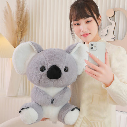 Australian Koala Koalas Soft Plush Toy | Magic Stories