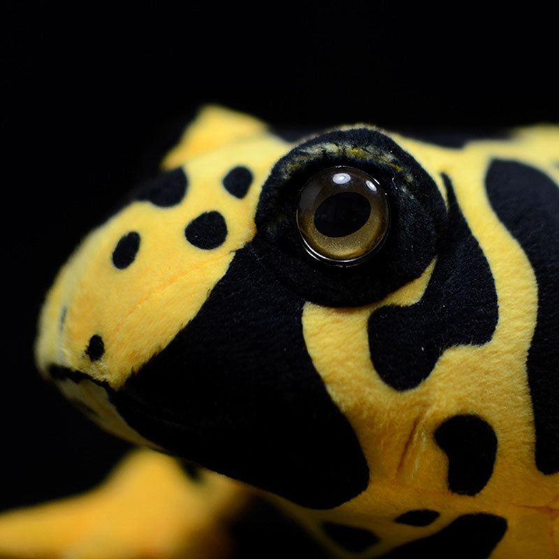 Doll Simulation Poison Dart Frog Plush Toy | Magic Stories
