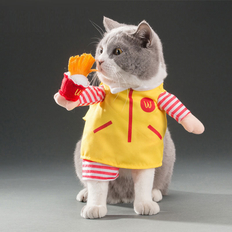 Spring and autumn pet cat costume | Magic Stories
