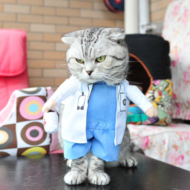 Spring and autumn pet cat costume | Magic Stories