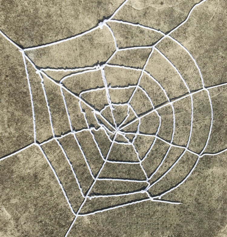 Halloween Decoration Spider Plush Spider Web | Magic Stories