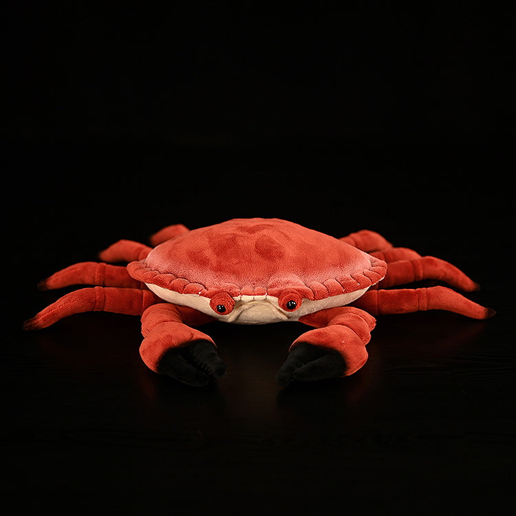 Brown Crab Doll Plush Toys | Magic Stories