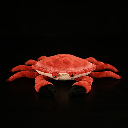 Brown Crab Doll Plush Toys | Magic Stories