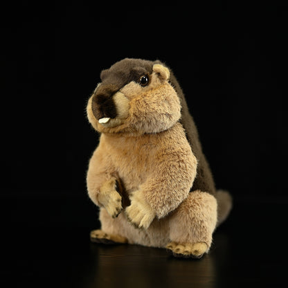 Squirrel Small Animal Plush Home Decoration | Magic Stories