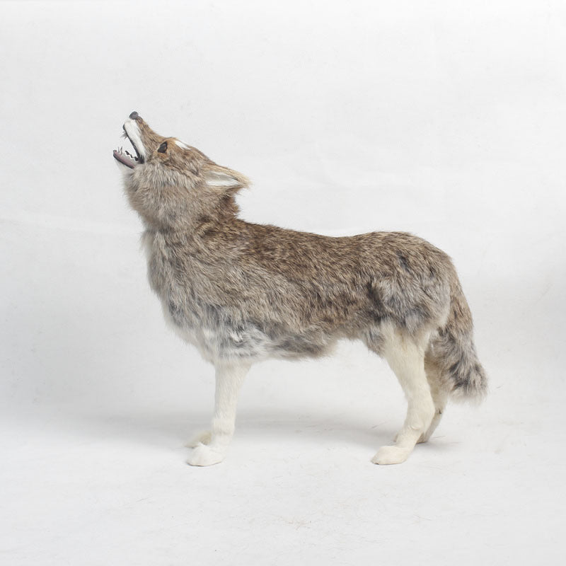 Simulation Wolf Model Ornaments Simulation | Magic Stories