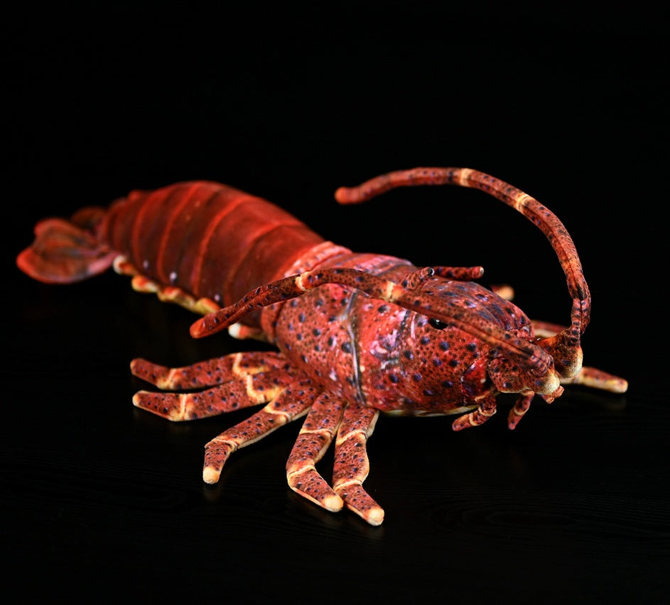 Cute Lobster Doll Plush Toy | Magic Stories