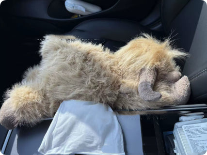 Highland Cow Pocket Plush Toy — in use