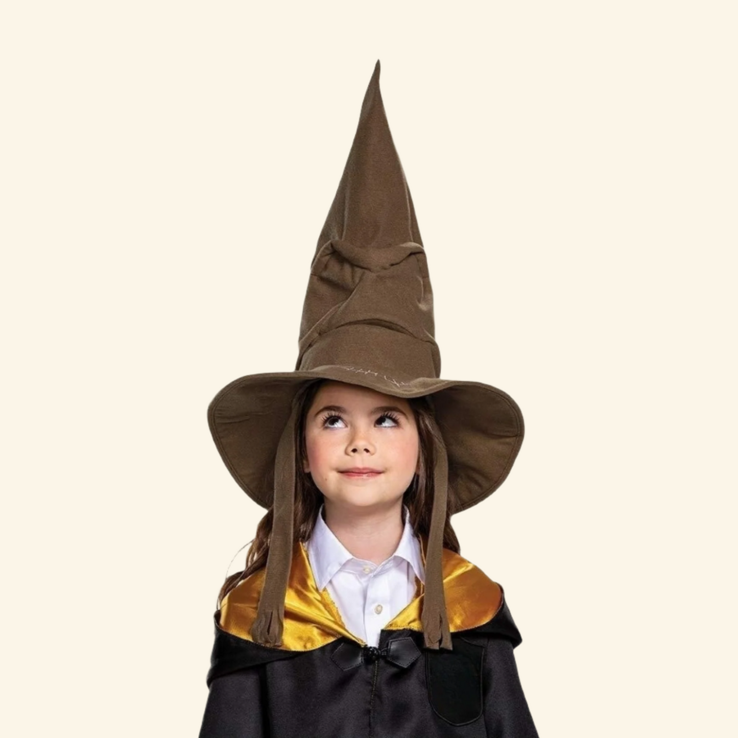 Hogwarts Sorting Hat