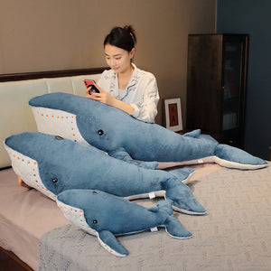 Cartoon Whale Shark Doll Plush Toys | Magic Stories