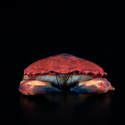 Simulated Plush Ginkgo Crab Plush Toy — back view