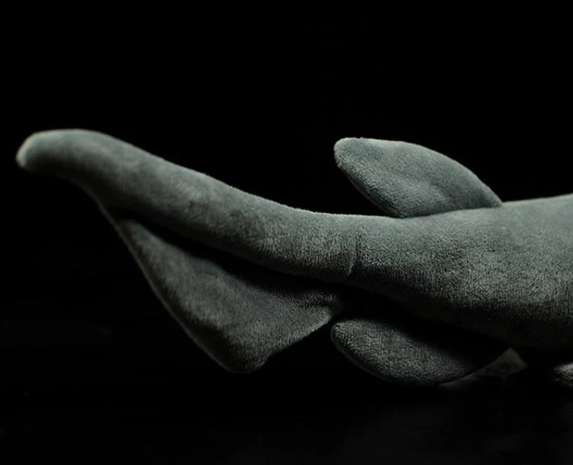 Frilled Shark Soft Stuffed Plush Toy — packaging