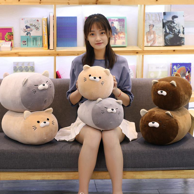 Fat house dumpling cat plush toy | Magic Stories