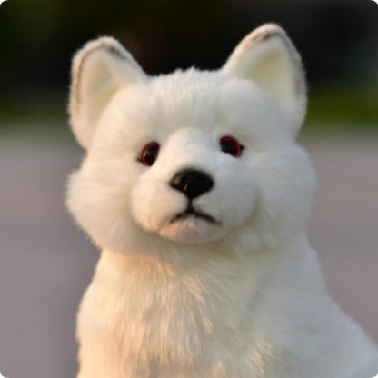 Plush Toys, Animal Dolls, And Plush Toys — detail