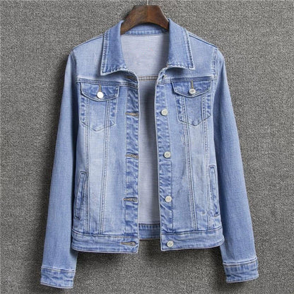Autumn Slim Casual Jacket Student Jacket — back view