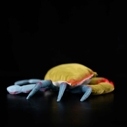 Plush Toy Sea Crab Plush Toy Gift Super Soft — packaging