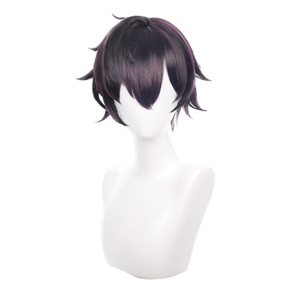 Men's Cosplay Wig Reverse Dark Purple Short Hair — packaging