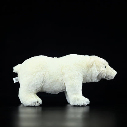 Polar Bear Plush Toy Doll | Magic Stories