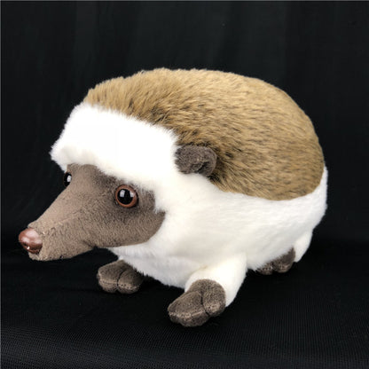 Simulation Animal Plush Hedgehog Toy | Magic Stories