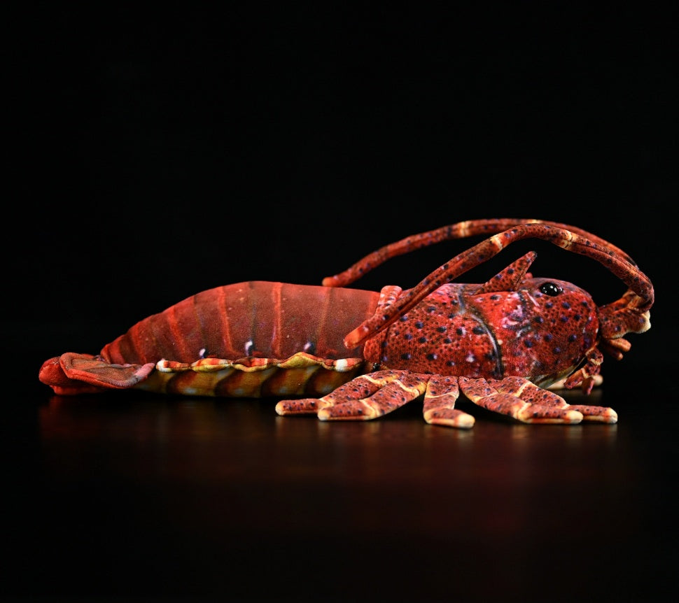 Cute Lobster Doll Plush Toy | Magic Stories