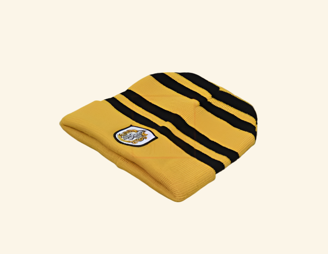 Embroidered Wizard House Badge Hat — side view