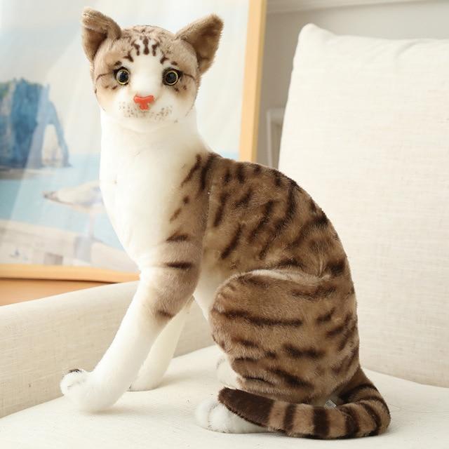 Cat Plush Toys — in use