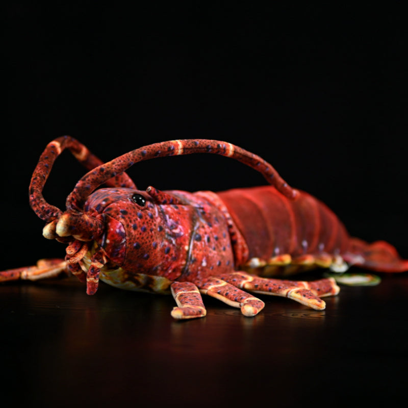 Cute Lobster Doll Plush Toy | Magic Stories